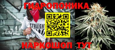 a pvp Лесосибирск
