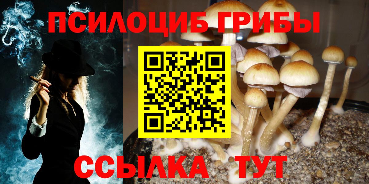 Галлюциногенные грибы мухоморы Кольчугино