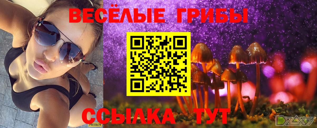 Кольчугино  закладки  Вход с VPN  Псилоцибиновые грибы мухоморы 