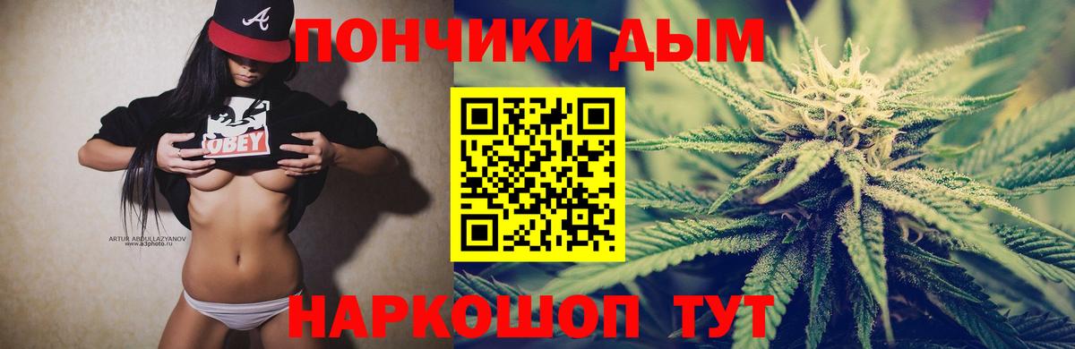 Конопля планчик Кольчугино